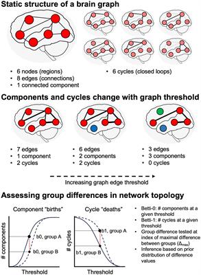 Greater white matter degeneration and lower structural connectivity in non-amnestic vs. amnestic Alzheimer’s disease